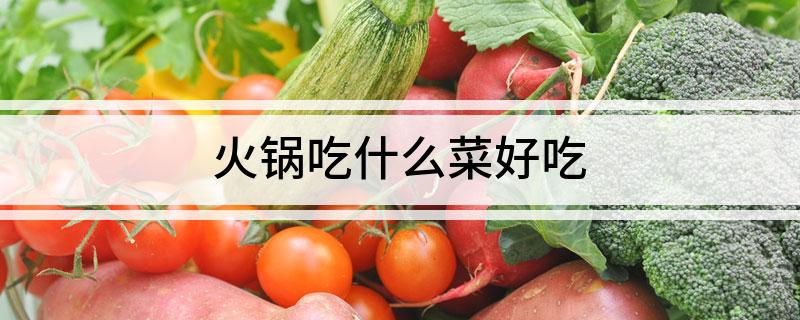 火锅吃什么菜好吃(图1)