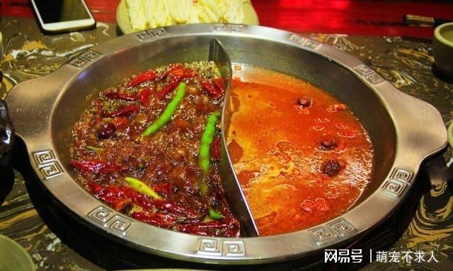 火锅底料中的红油是用什么油制成的？(图3)