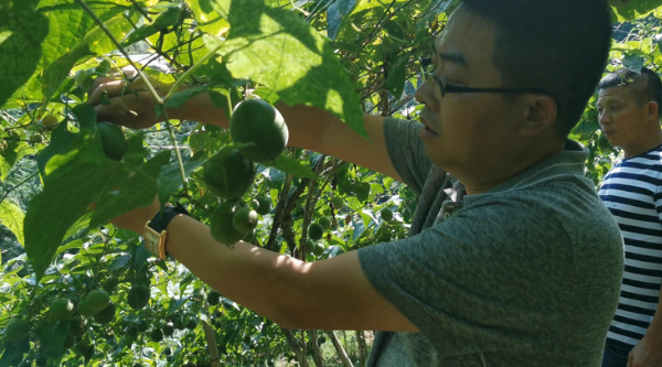 过“双旦”享（中国）有限公司野妹火锅让陪伴更有温度(图4)